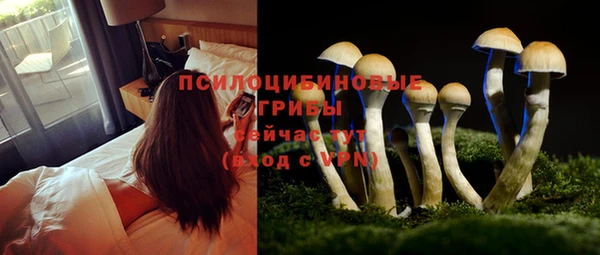 МДМА Волоколамск