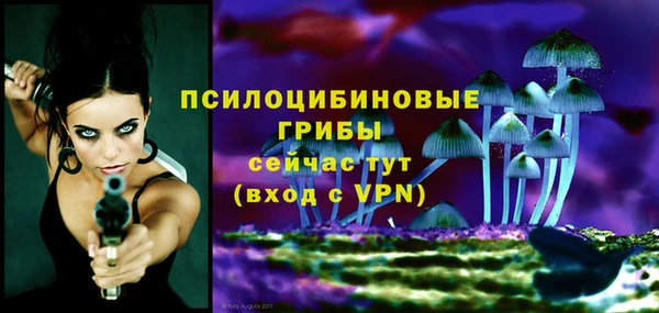 дурь Верея