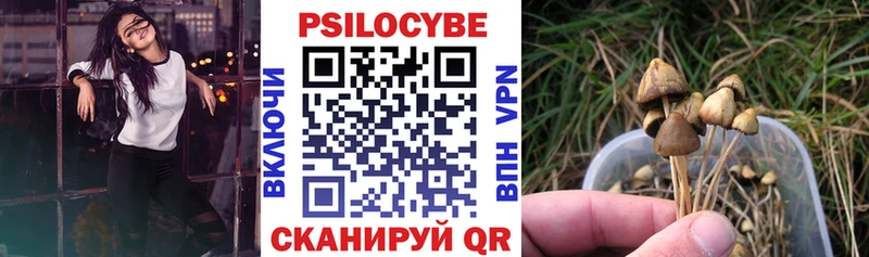 Галлюциногенные грибы Magic Shrooms  купить  сайты  Ядрин 